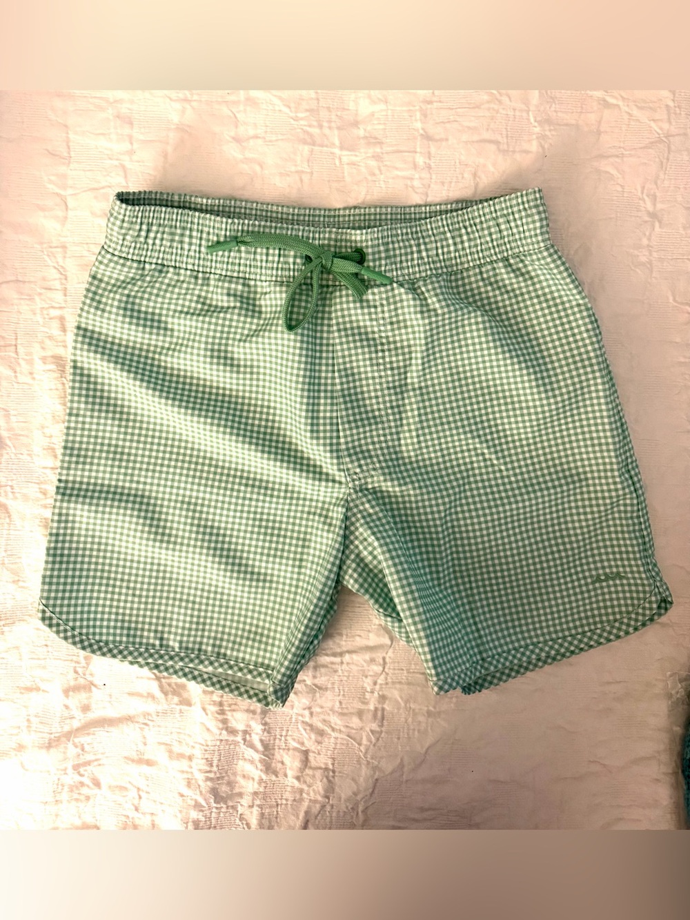 NWOT Minnow Kids Green Gingham Swim Trunks -